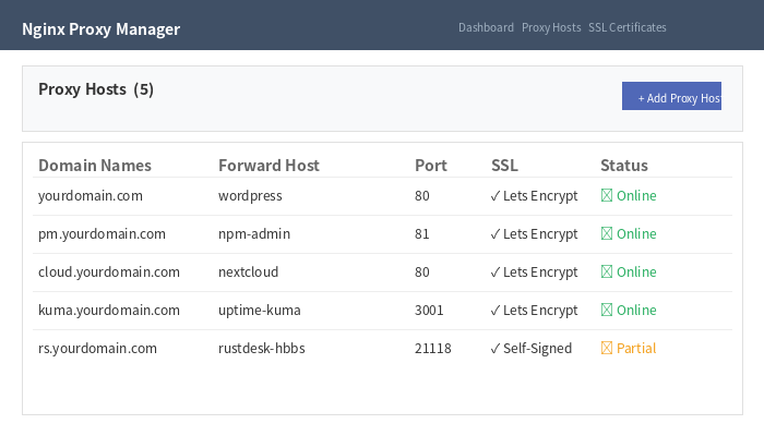 Nginx Proxy Manager 反向代理配置